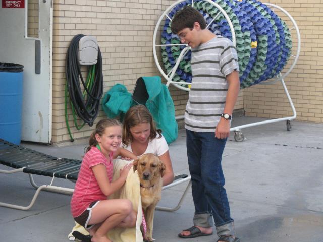 26854_dog_swimming_2009_005.jpg