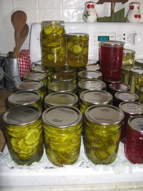 26854_swap_blocks_chicks_canning_003.jpg