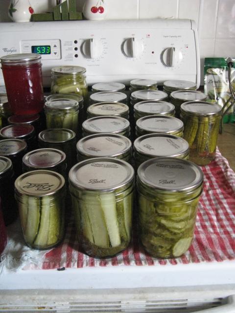 26854_swap_blocks_chicks_canning_004.jpg
