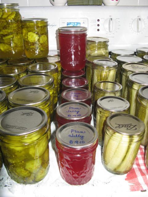 26854_swap_blocks_chicks_canning_005.jpg