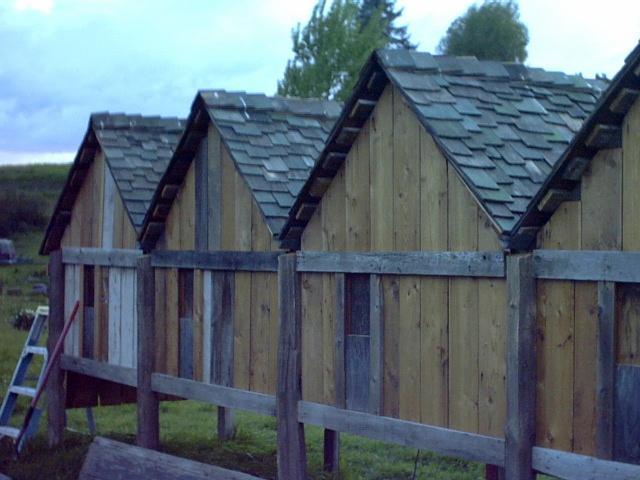 26881_may08231.jpg