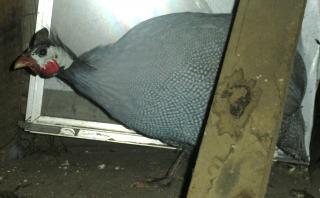 26911_dscn0549.jpg