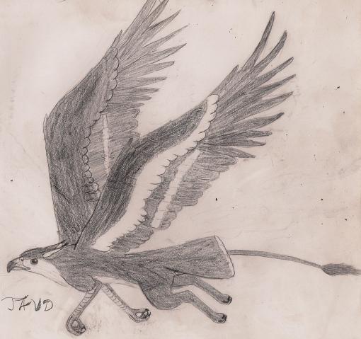 26999_roonsgryphon0001.jpg