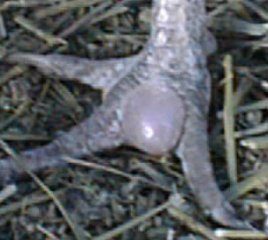 2707_07160001.jpg