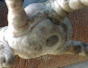 2707_07160002.jpg