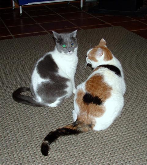 27119_dscf0016.jpg