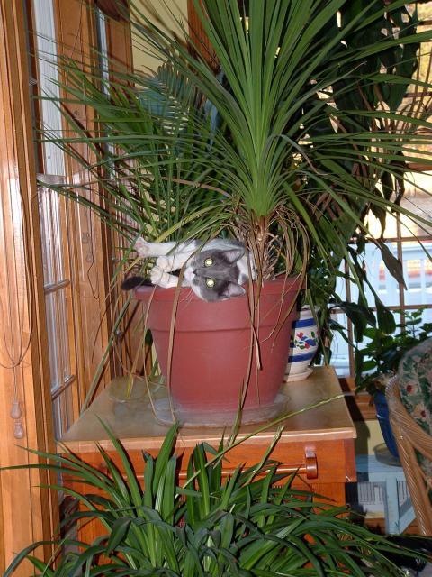 27119_november_08_2007_02.jpg