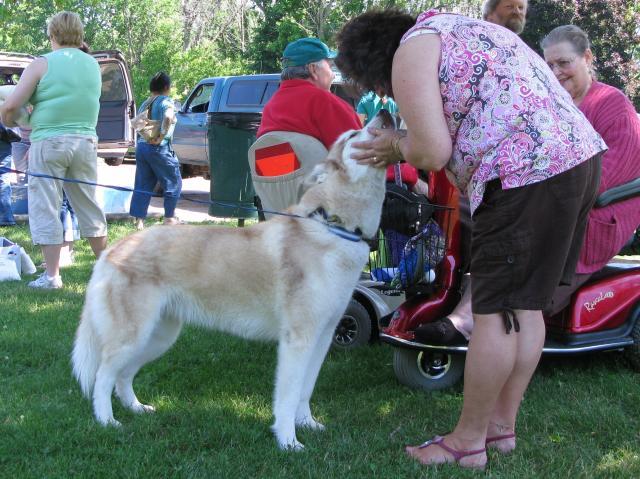 27158_dog_from_newago.jpg