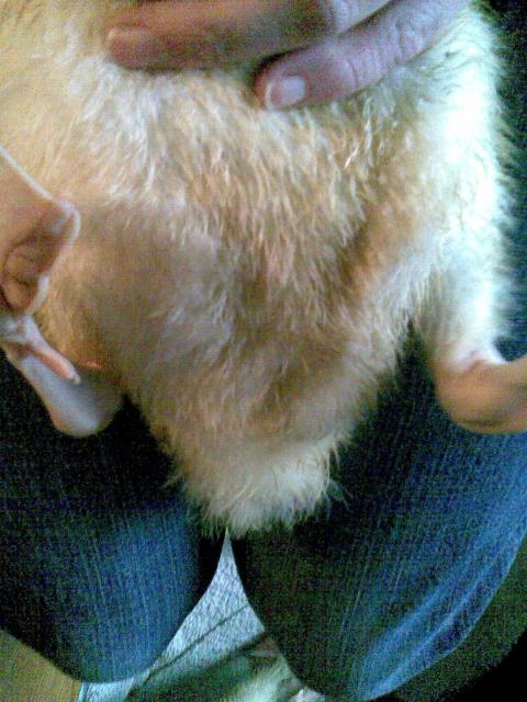27186_image054.jpg