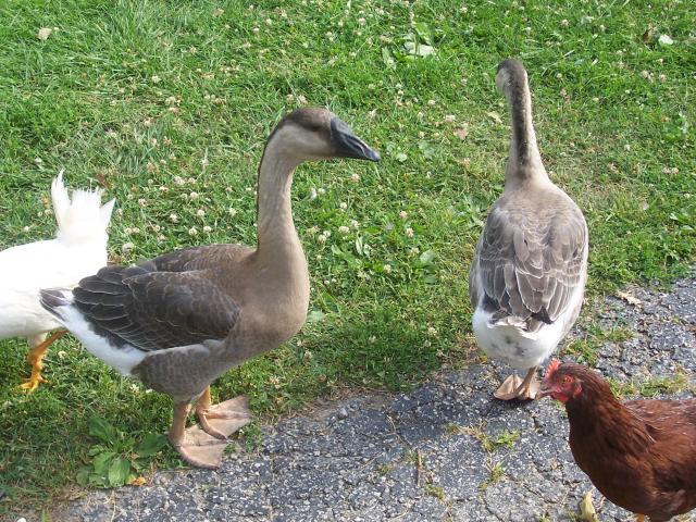 27204_109_0357.jpg