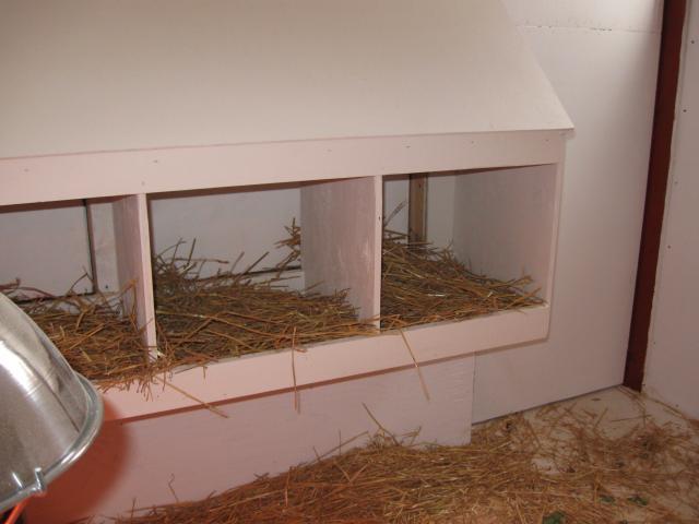 27213_nesting_boxes_4_total_for_12_hens.jpg
