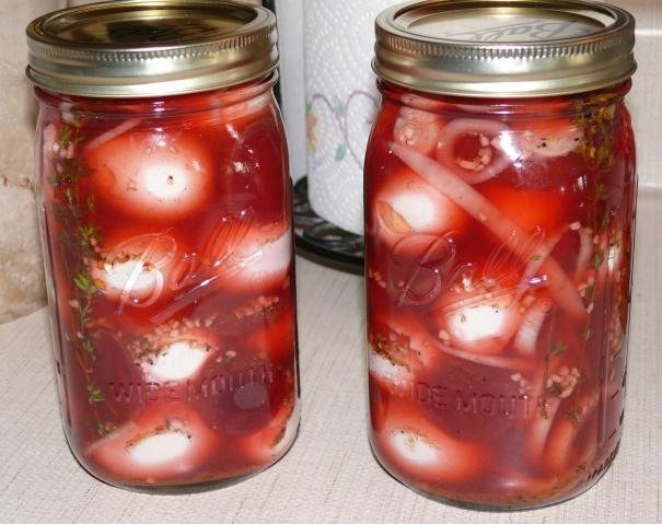 27262_pickled_serama_eggs.jpg