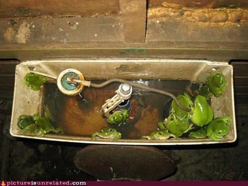 27390_wtf-photos-videos-theres-your-problem.jpg