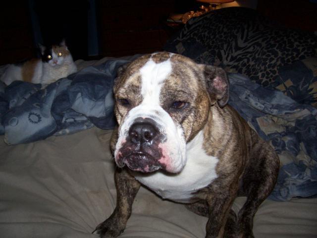 27423_100_1115.jpg
