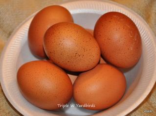 27455_335.jpg