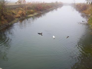 27498_100_1303.jpg