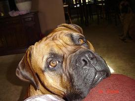 27498_taras_stuff_107.jpg