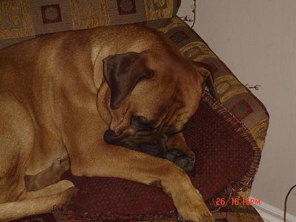 27498_taras_stuff_221.jpg