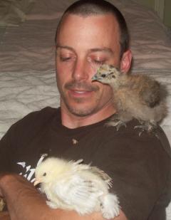 27552_dave_and_chicks.jpg