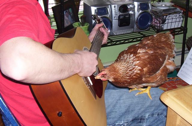 27552_delilahs_guitar_lesson2.jpg