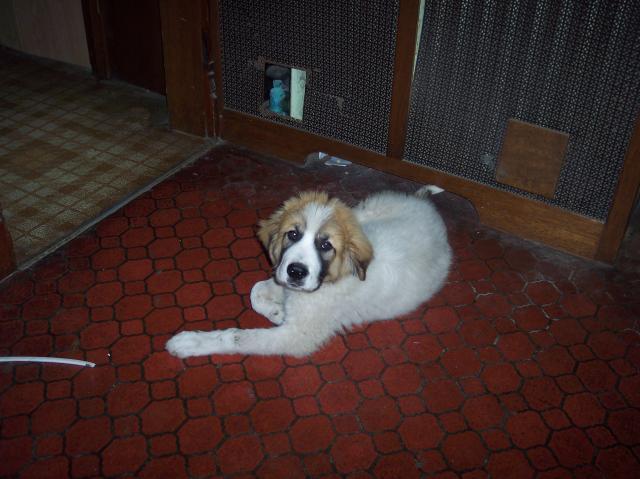 27557_misc_005.jpg
