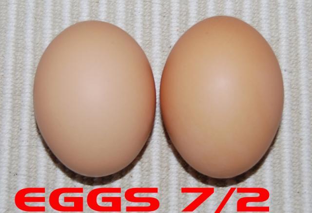 27573_eggs7-2.jpg