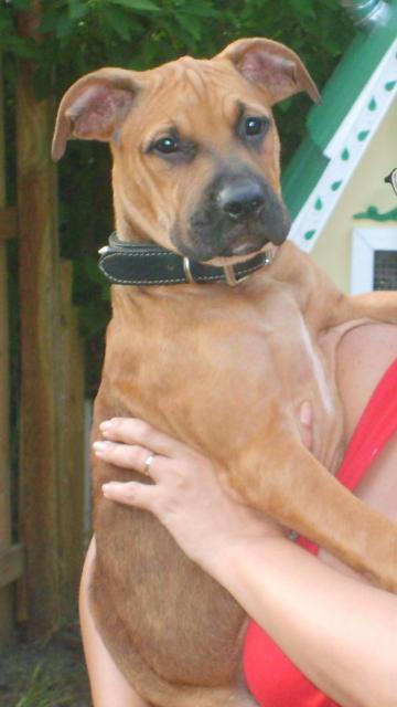 27700_roxy.jpg