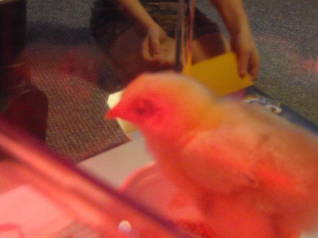 27767_12-24_through_12-30_09_148.jpg