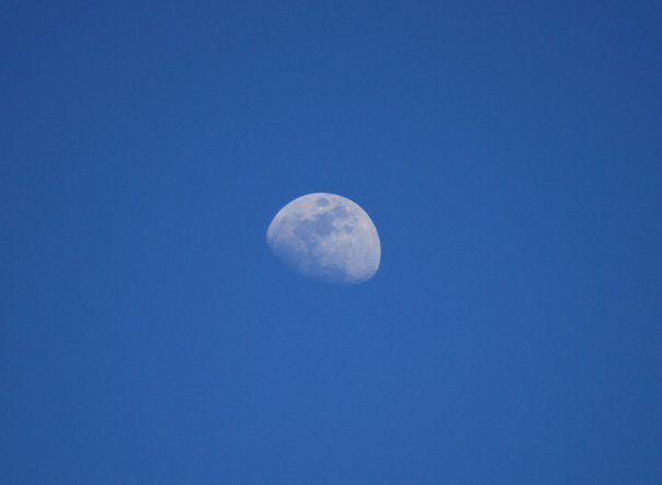 27836_moon.jpg