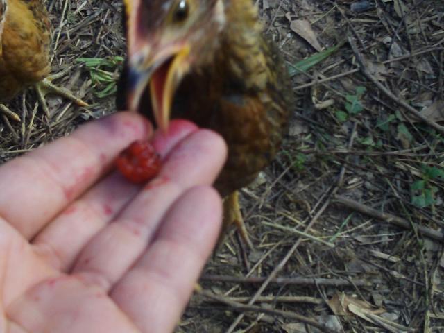 27858_zi6_0799.jpg