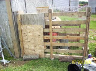 27885_rooster_021.jpg