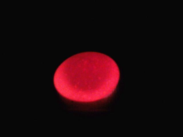 27924_0414091448.jpg