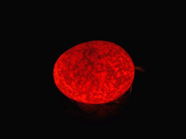 27924_0414091528.jpg