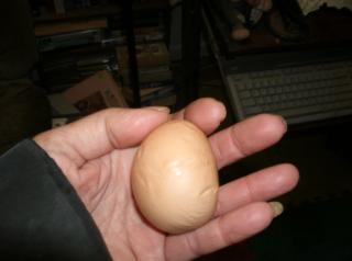 27943_egg_004.jpg