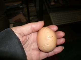 27943_egg_005.jpg