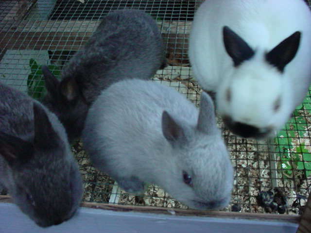 27992_mvc-002s.jpg