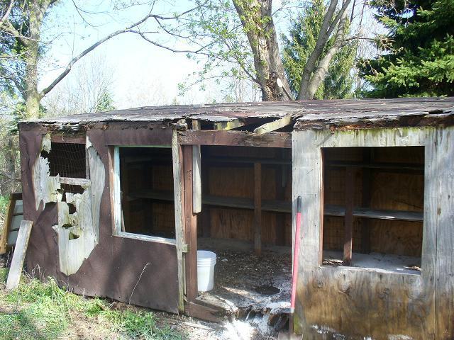 28099_old_coop.jpg