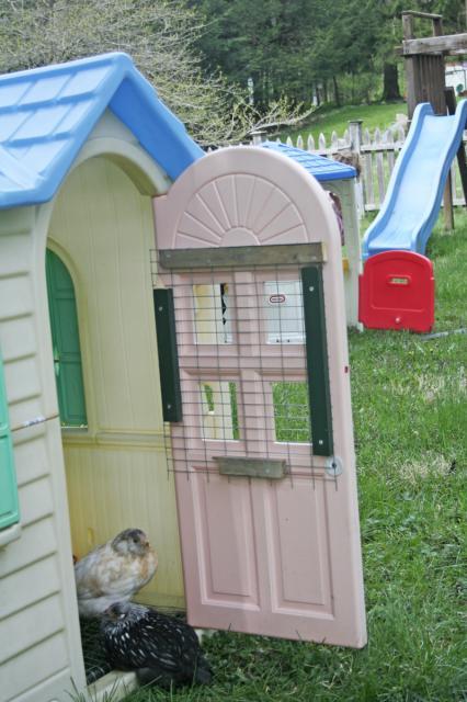 28120_door.jpg
