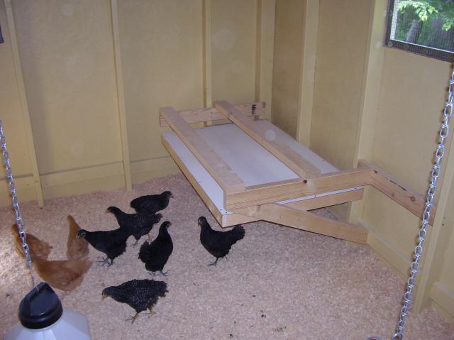 28156_100_1642.jpg