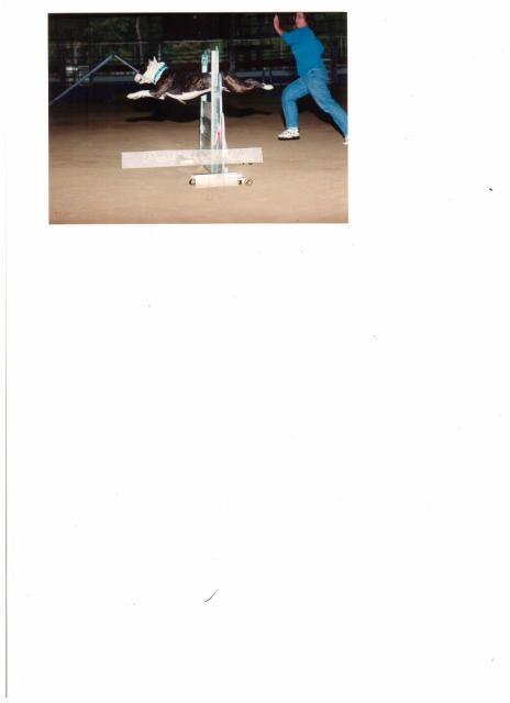 28165_bob_blub_color_001.jpg