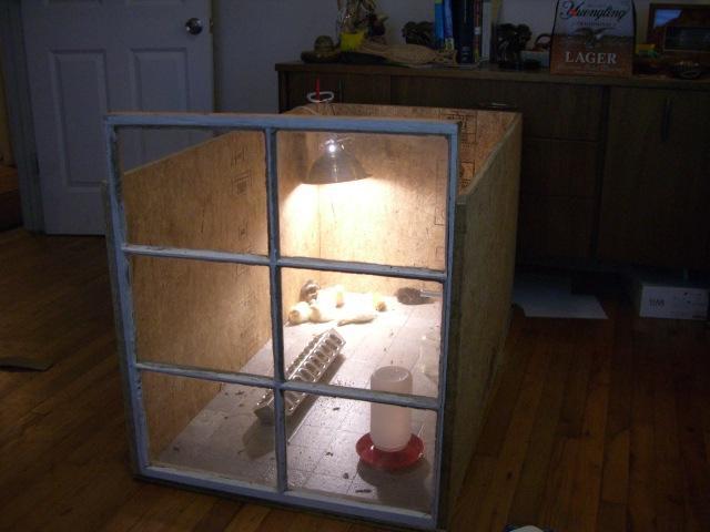 28202_cimg0696.jpg