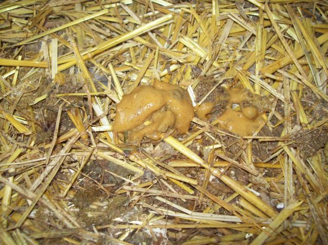 28220_100_2619.jpg