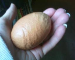 28261_0crater_egg.jpg