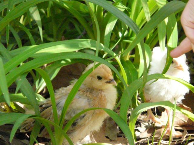 28304_april_18_2009_055.jpg