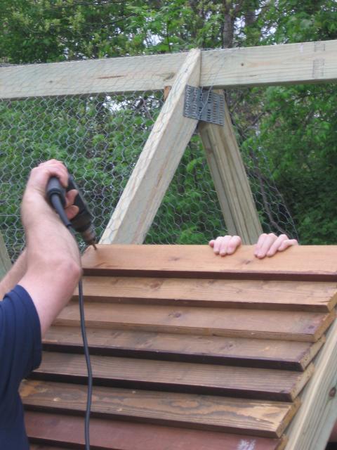 28411_nailingjoist.jpg