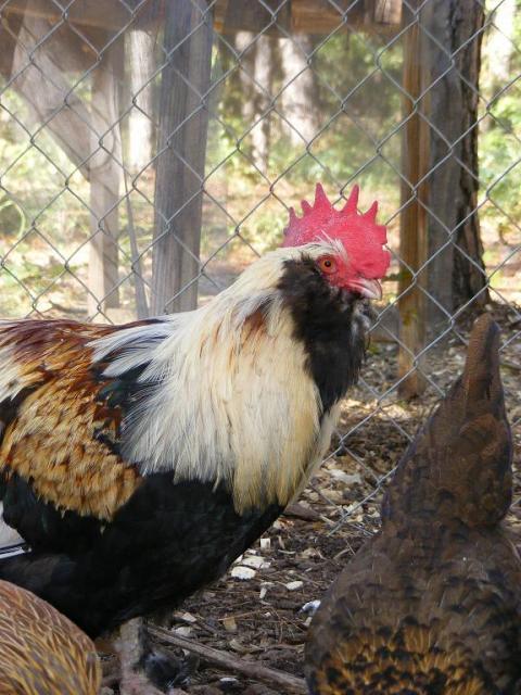 28464_092510_016.jpg