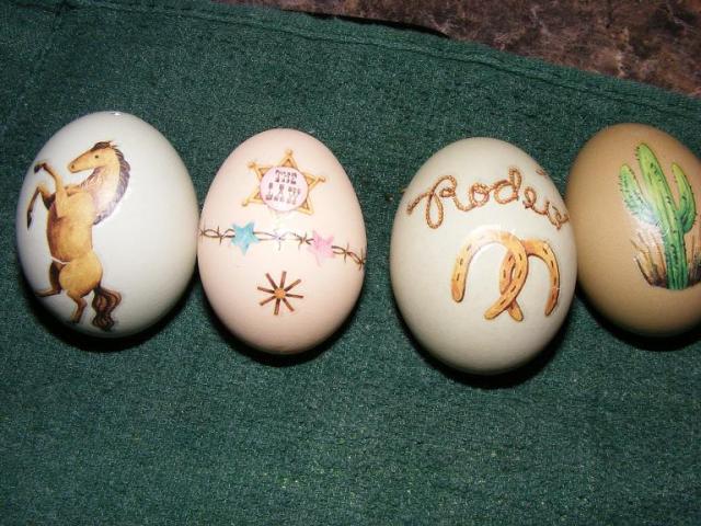 28464_eggs111110_001.jpg