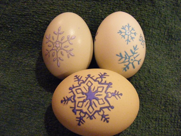 28464_eggs111110_004.jpg