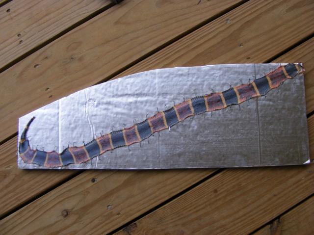 28464_snake_007.jpg