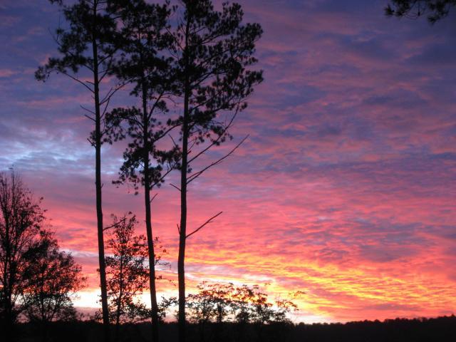 28521_sunrise_009.jpg